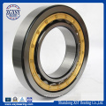 Double Row Cylindrical Roller Bearing